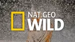 National Geographic Wild